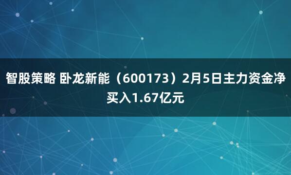 智股策略 卧龙新能（600173）2月5日主力资金净买入1.67亿元