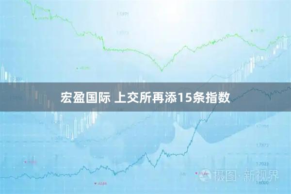 宏盈国际 上交所再添15条指数